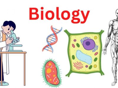 The Complete High School and College Biology